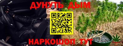 apvp Ливны