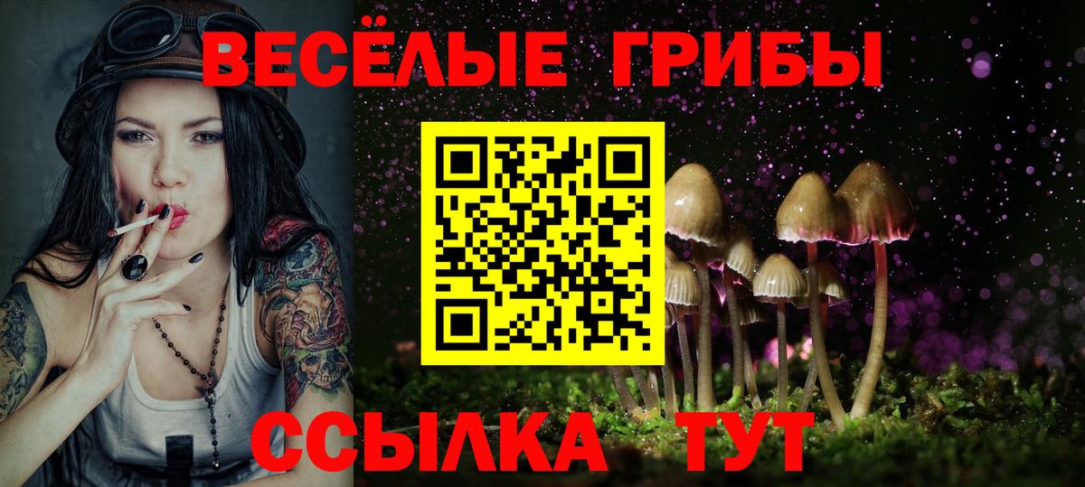 Псилоцибиновые грибы мицелий Ханты-Мансийск