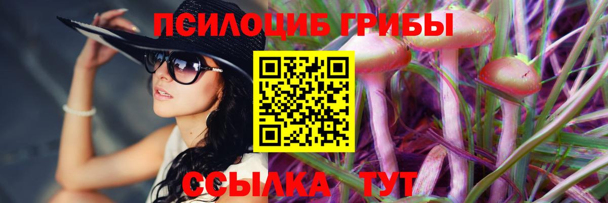 Галлюциногенные грибы MAGIC MUSHROOMS  Псилоцибиновые грибы GOLDEN TEACHER  Ханты-Мансийск  Вход с VPN 